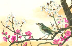 会員限定展示